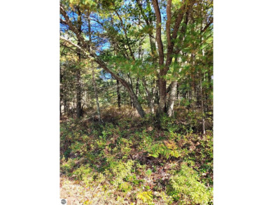 Beach Lot For Sale in East Tawas, Michigan