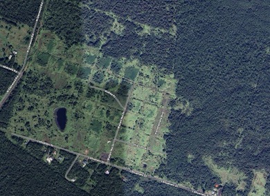 Beach Acreage For Sale in Mountain View, Hawaii