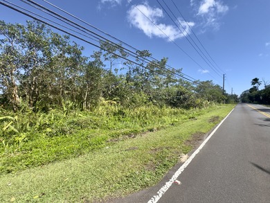 Beach Lot For Sale in Pahoa, Hawaii
