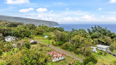 Beach Home For Sale in Honokaa, Hawaii
