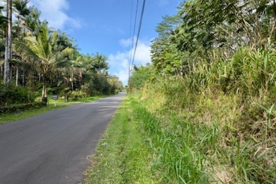 Beach Lot For Sale in Pahoa, Hawaii