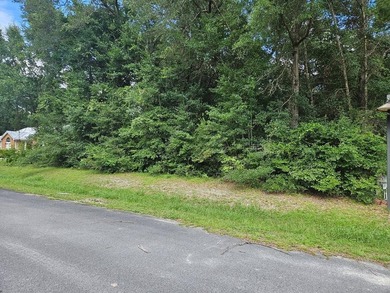 Beach Lot For Sale in Wewahitchka, Florida