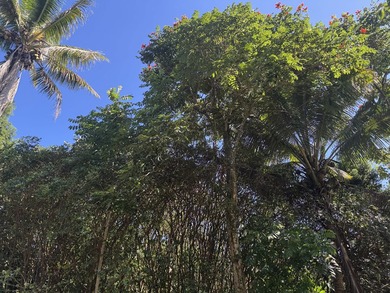 Beach Lot Active Under Contract in Pahoa, Hawaii