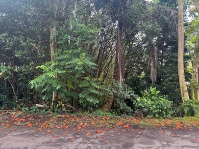 Beach Lot For Sale in Pahoa, Hawaii