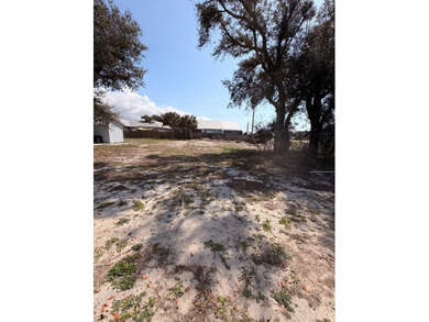 Beach Lot For Sale in Mexico Beach, Florida