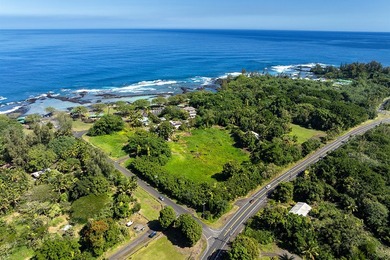 Beach Lot For Sale in Hilo, Hawaii