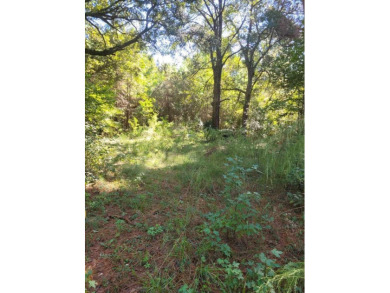 Beach Lot For Sale in Edisto Island, South Carolina