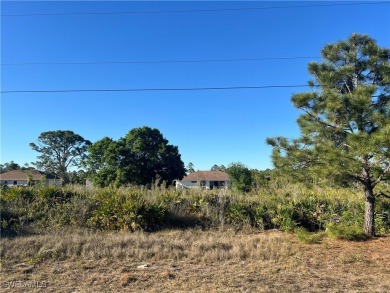 Beach Lot For Sale in Lehigh Acres, Florida