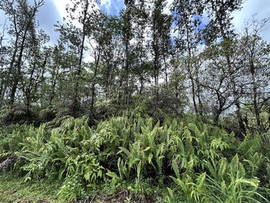 Beach Lot Active Under Contract in Kurtistown, Hawaii