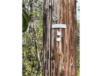 Beach Lot Active Under Contract in Kurtistown, Hawaii