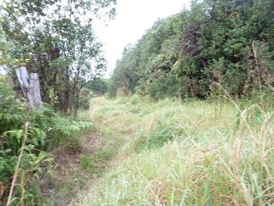 Beach Acreage For Sale in Mountain View, Hawaii