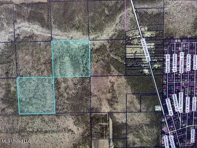 Beach Acreage For Sale in Bay Saint Louis, Mississippi