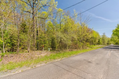 Beach Lot For Sale in South Haven, Michigan
