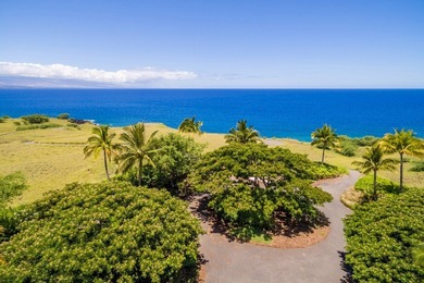 Beach Acreage For Sale in Kamuela, Hawaii
