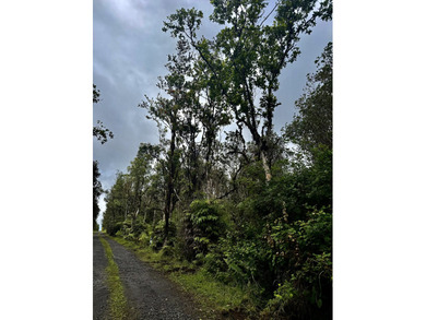 Beach Lot For Sale in Mountain View, Hawaii