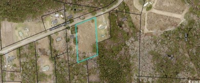Beach Acreage For Sale in Georgetown, South Carolina