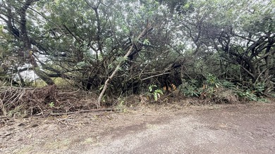 Beach Lot For Sale in Kealakekua, Hawaii