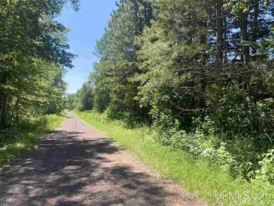 Beach Lot For Sale in Ironwood, Michigan
