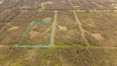 Beach Acreage For Sale in Volcano, Hawaii