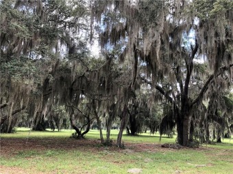 Beach Lot Off Market in Townsend, Georgia