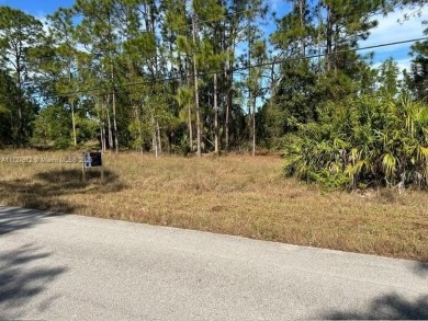 Beach Lot For Sale in Lehigh Acres, Florida