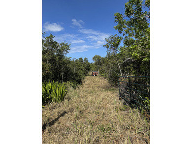 Beach Lot Active Under Contract in Naalehu, Hawaii