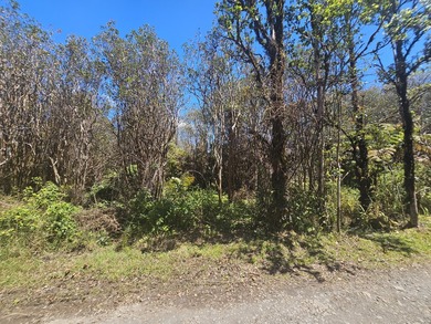 Beach Lot For Sale in Mountain View, Hawaii