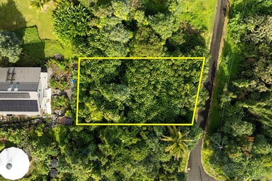 Beach Lot For Sale in Pahoa, Hawaii