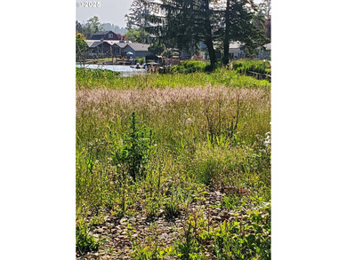 Beach Lot For Sale in Lincoln City, Oregon