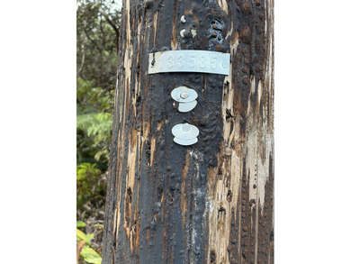 Beach Lot For Sale in Volcano, Hawaii