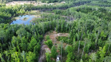 Beach Acreage For Sale in Wewahitchka, Florida