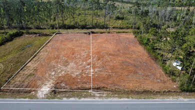 Beach Lot For Sale in Wewahitchka, Florida