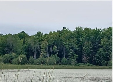 Beach Acreage For Sale in Lake Linden, Michigan