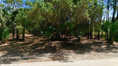 Beach Lot For Sale in St. George Island, Florida