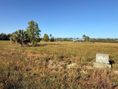 Beach Lot For Sale in Wewahitchka, Florida