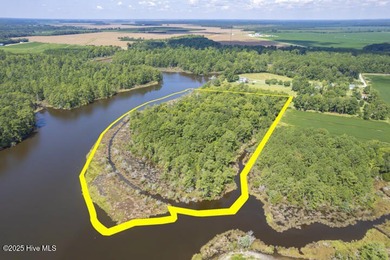 Beach Acreage For Sale in Vandemere, North Carolina