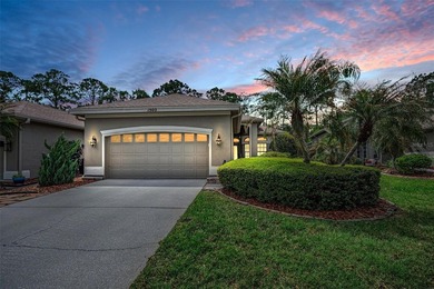 Beach Home Sale Pending in Oldsmar, Florida
