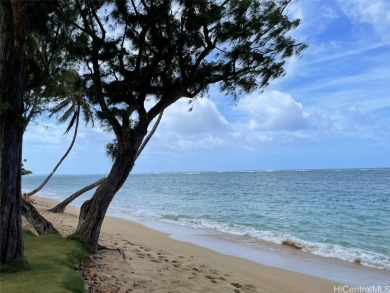 Beach Condo For Sale in Hauula, Hawaii