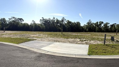 Beach Acreage Active Under Contract in Wewahitchka, Florida