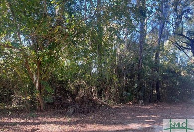 Beach Lot For Sale in Savannah, Georgia