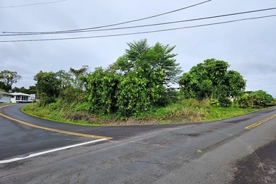 Beach Lot Active Under Contract in Hilo, Hawaii