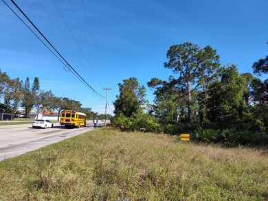 Beach Lot For Sale in Lehigh Acres, Florida