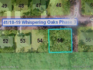 Beach Lot For Sale in St. Augustine Beach, Florida