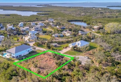 Beach Lot For Sale in Terra Ceia, Florida