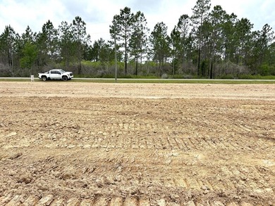 Beach Lot For Sale in Wewahitchka, Florida