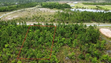 Beach Lot For Sale in Wewahitchka, Florida
