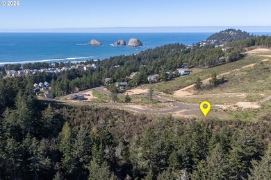 Beach Lot For Sale in Oceanside, Oregon