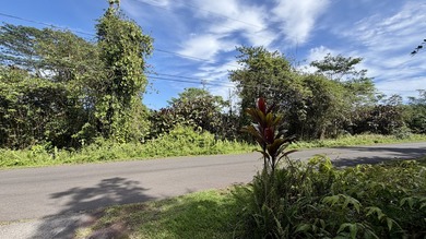 Beach Lot For Sale in Pahoa, Hawaii