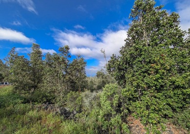 Beach Lot For Sale in Ocean View, Hawaii