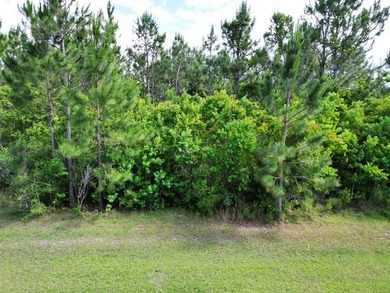 Beach Lot For Sale in Wewahitchka, Florida